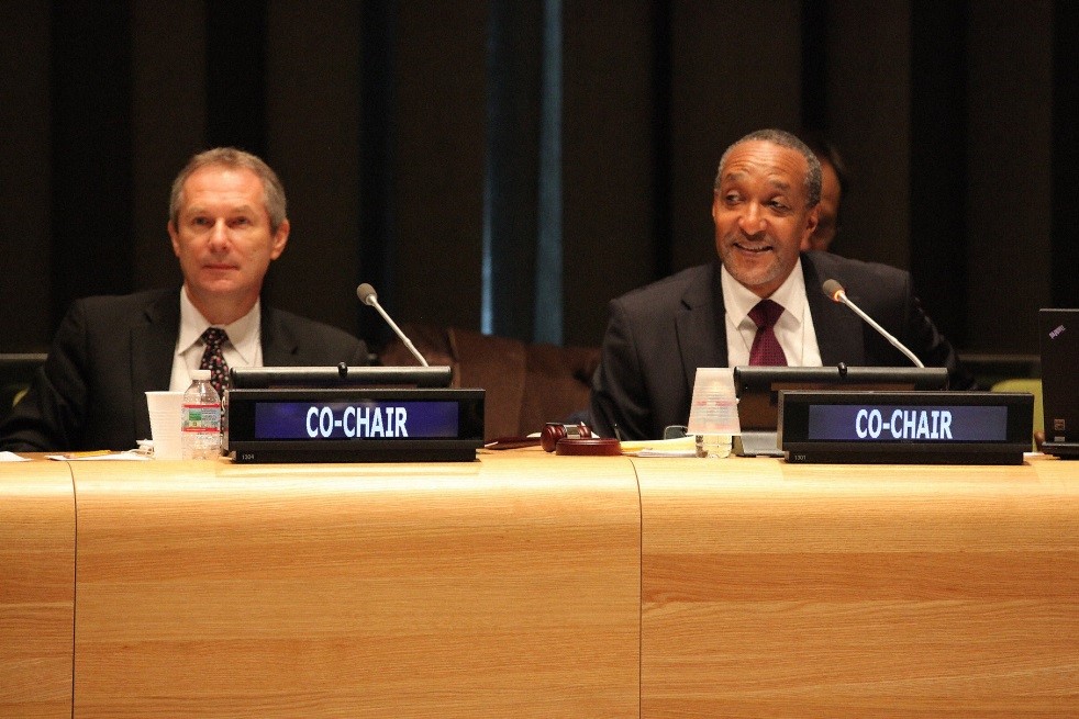 Forrás: IISD, 2013